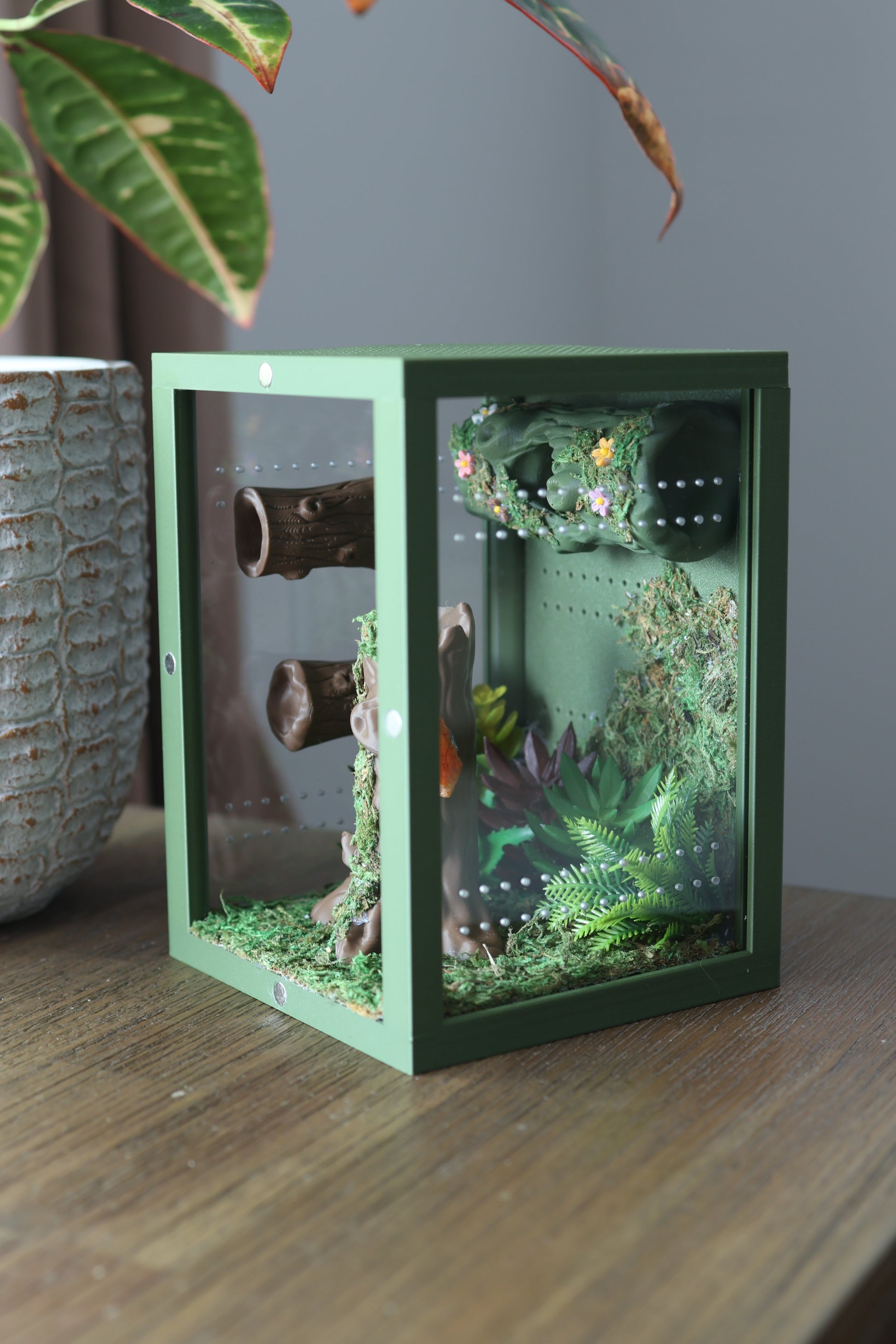 Jumping spider terrarium with natural moss, hideouts, and textured climbing walls – 3D printed