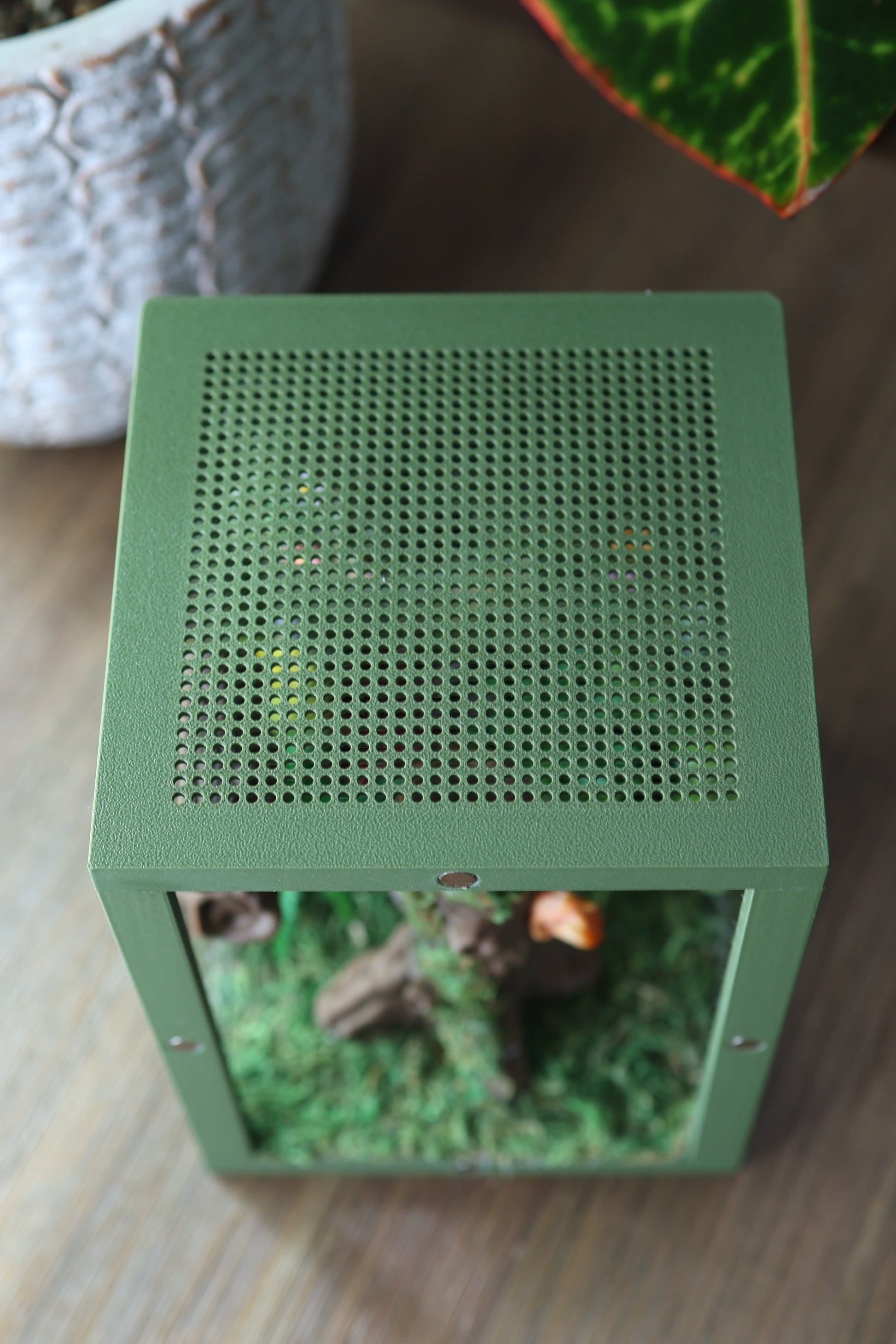 Durable PLA spider terrarium – Forest Canopy design with moss and realistic forest elements