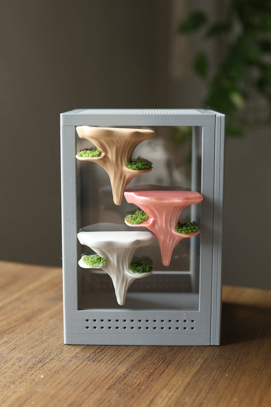 Hanging Mushroom Ledge Jumping Spider For Enclosure jumping spider - Spooder Nook