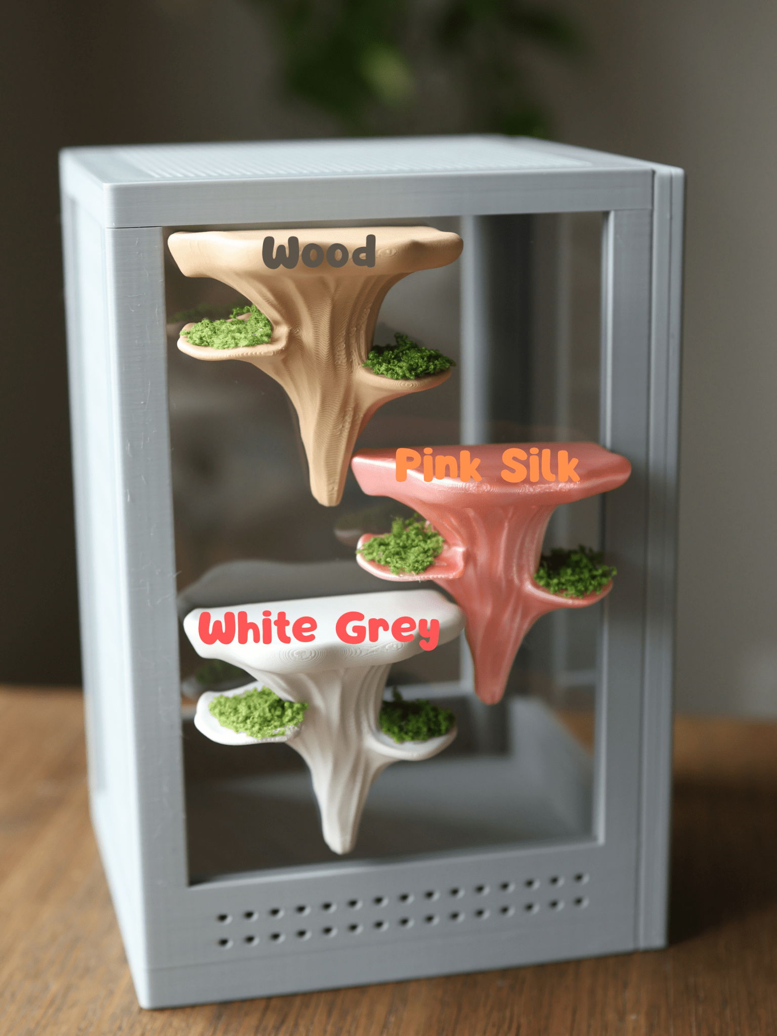 Hanging Mushroom Ledge Jumping Spider For Enclosure jumping spider - Spooder Nook