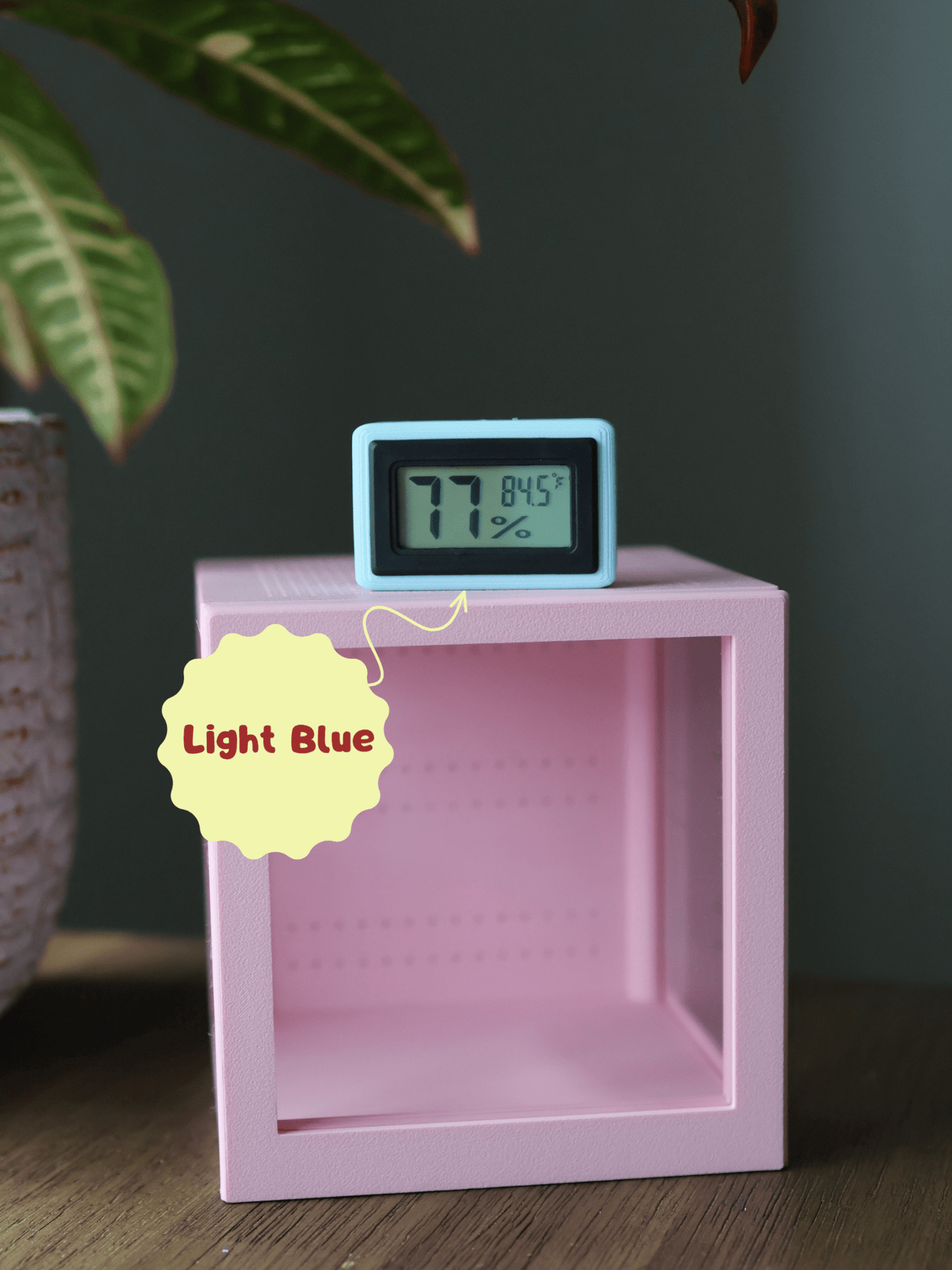 Humidity & Temperature Mini Digital Hygrometer - Jumping Spider, Reptile, and Mantis Terrarium - Celsius or Fahrenheit jumping spider - Spooder Nook