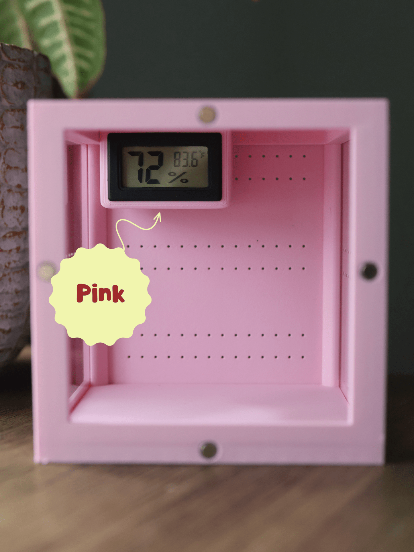 Humidity & Temperature Mini Digital Hygrometer - Jumping Spider, Reptile, and Mantis Terrarium - Celsius or Fahrenheit jumping spider - Spooder Nook