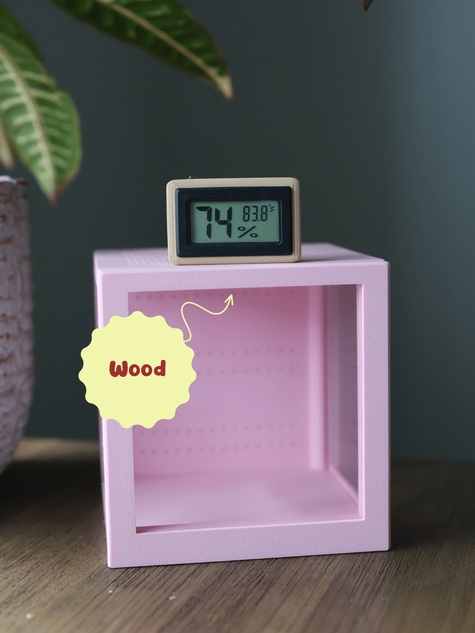 Humidity & Temperature Mini Digital Hygrometer - Jumping Spider, Reptile, and Mantis Terrarium - Celsius or Fahrenheit jumping spider - Spooder Nook