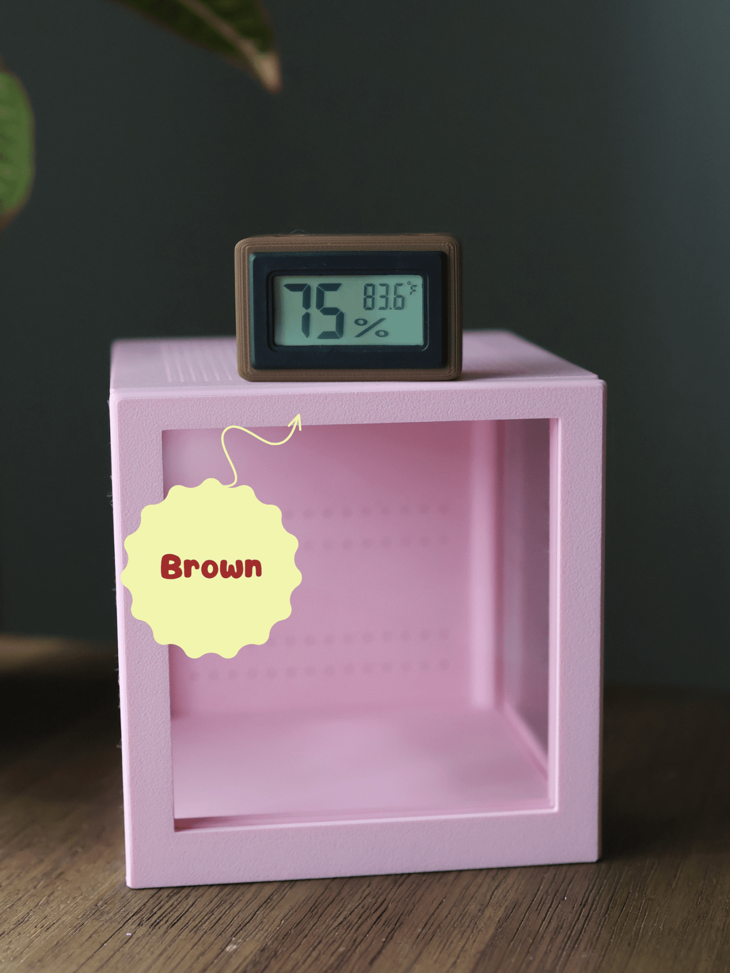 Humidity & Temperature Mini Digital Hygrometer - Jumping Spider, Reptile, and Mantis Terrarium - Celsius or Fahrenheit jumping spider - Spooder Nook