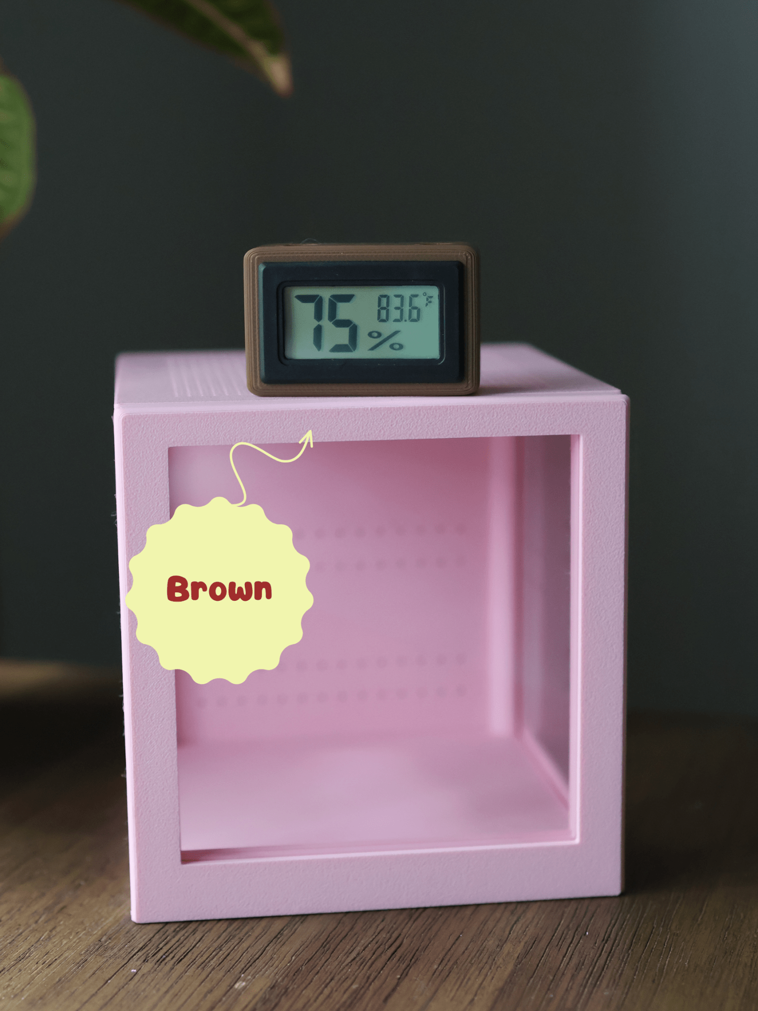 Humidity & Temperature Mini Digital Hygrometer - Jumping Spider, Reptile, and Mantis Terrarium - Celsius or Fahrenheit jumping spider - Spooder Nook