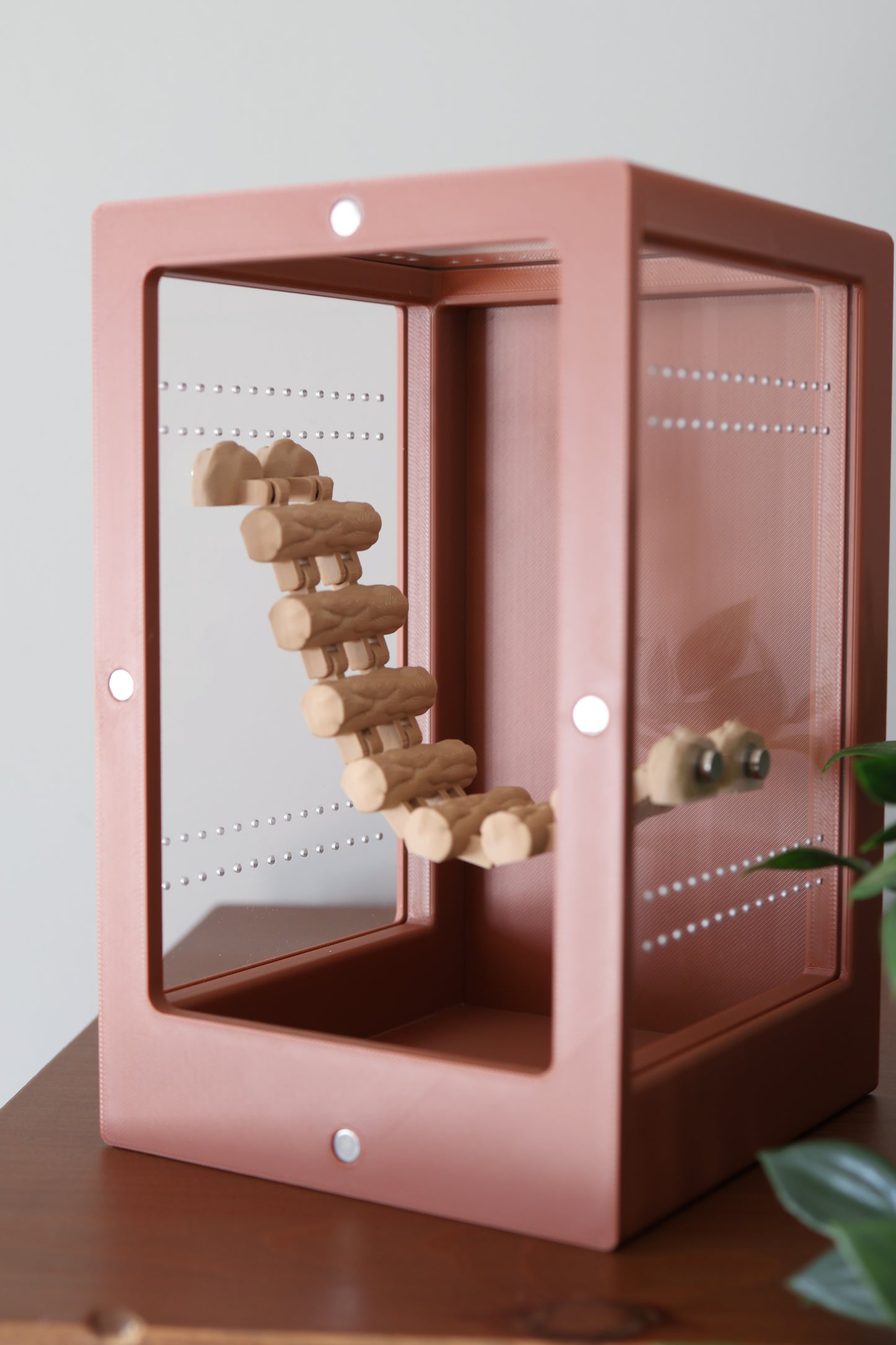 jumping-spider-enclosure-3D-printed