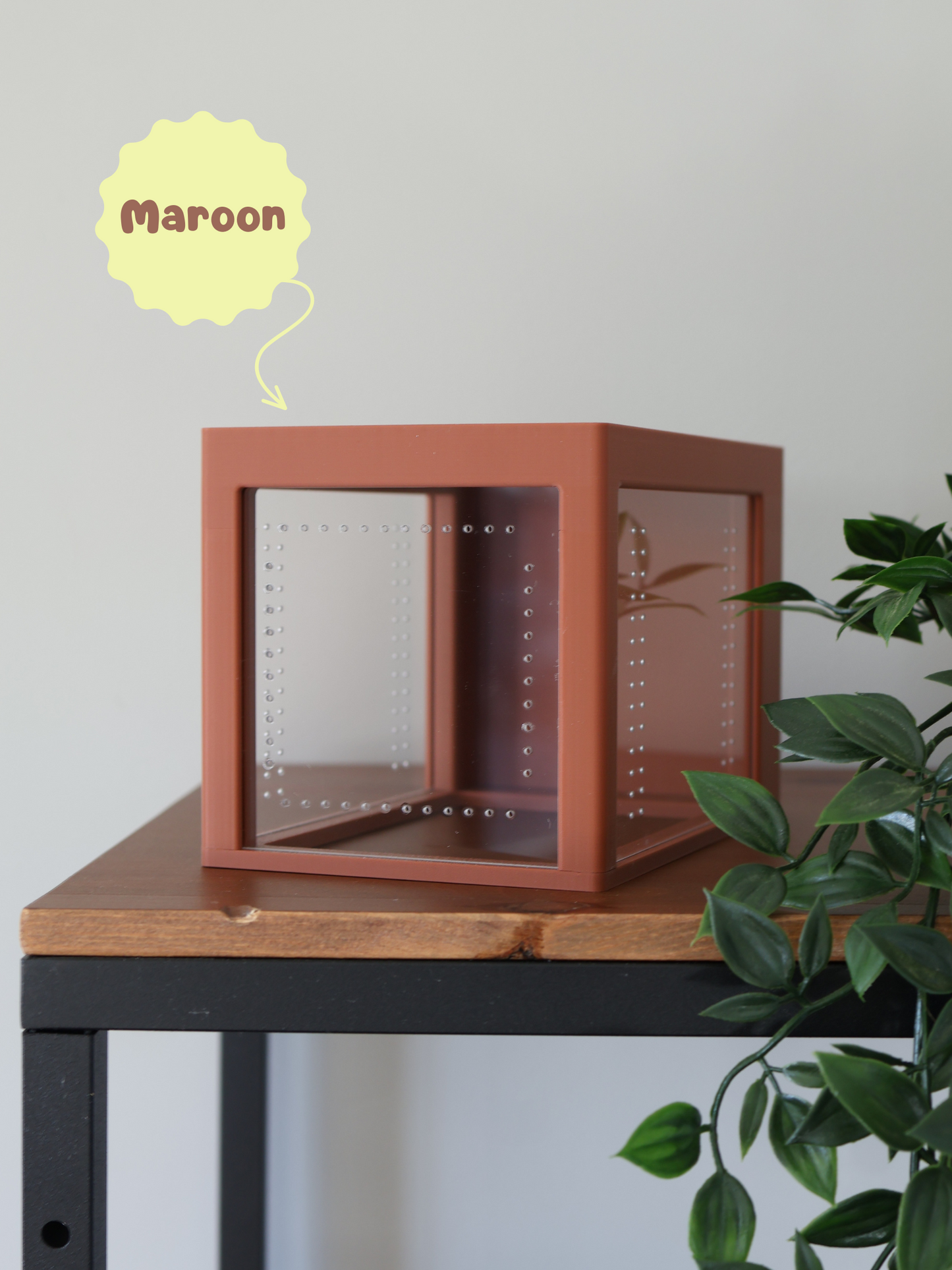 Jumping spider enclosure side ventilation holes for airflow