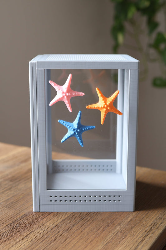 Jumping Spider Enclosure Accessories With Starfish jumping spider - Spooder Nook