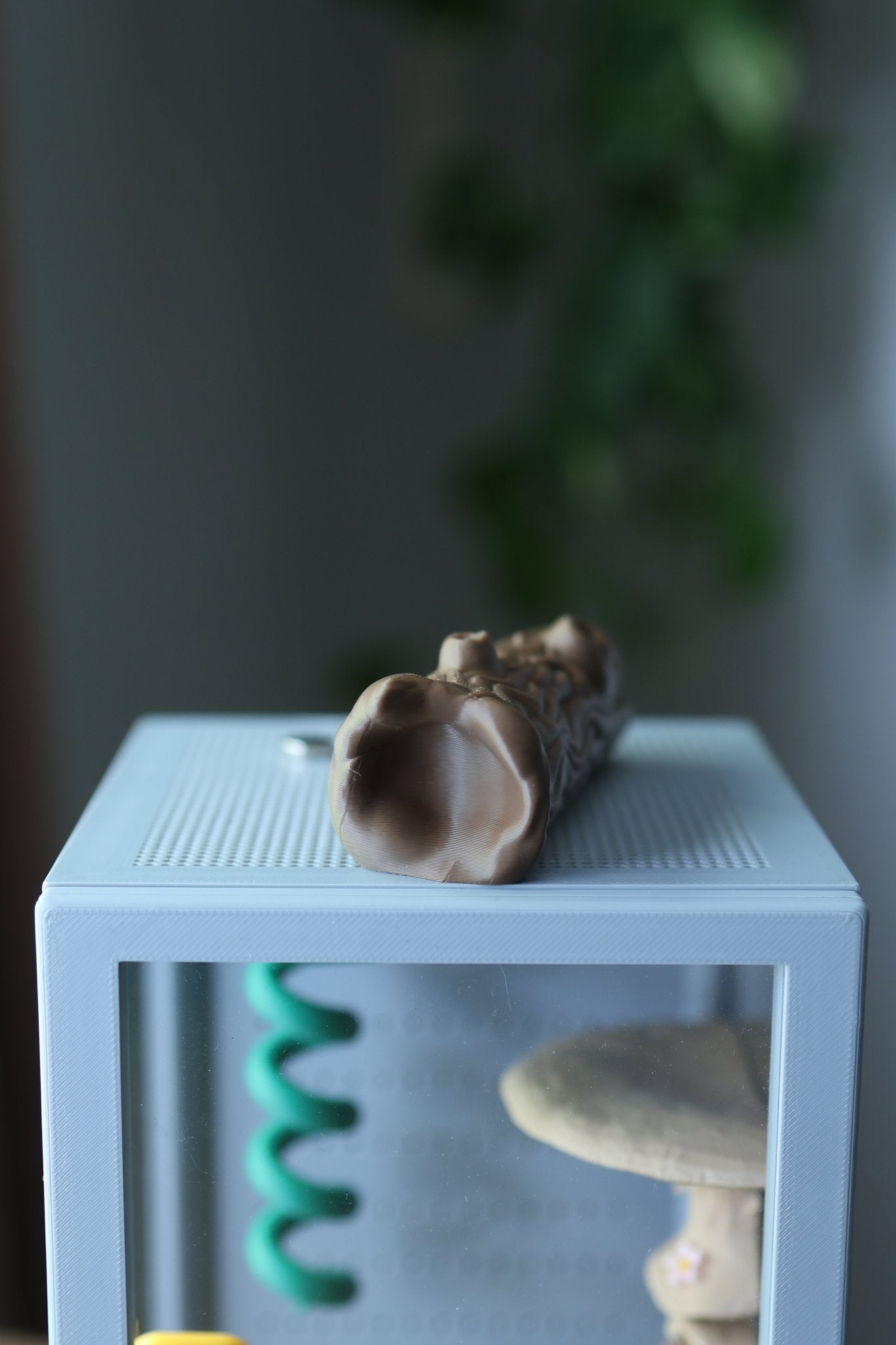 Jumping Spider Enclosure Decor – Tree Trunk jumping spider - Spooder Nook