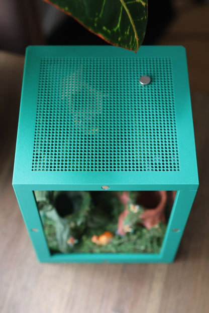 Jumping Spider Enclosure – Forest Theme with Natural Moss jumping spider - Spooder Nook