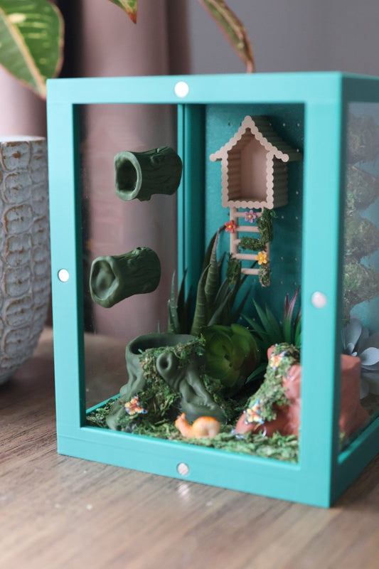 Jumping Spider Enclosure – Forest Theme with Natural Moss jumping spider - Spooder Nook