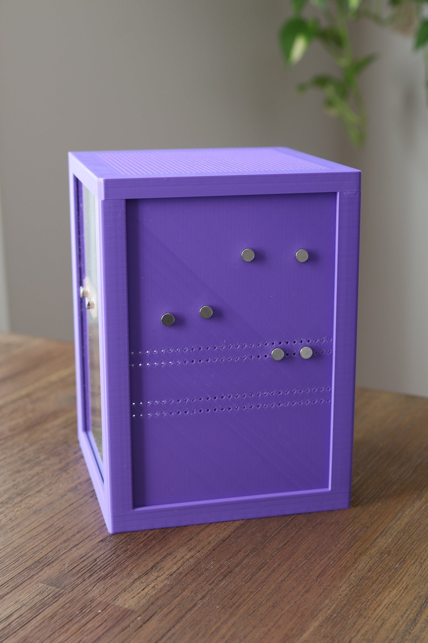 Jumping Spider Enclosure Mountain Theme, Decorated Front - Opening 3D Habitat, Custom Colors Available jumping spider - Spooder Nook