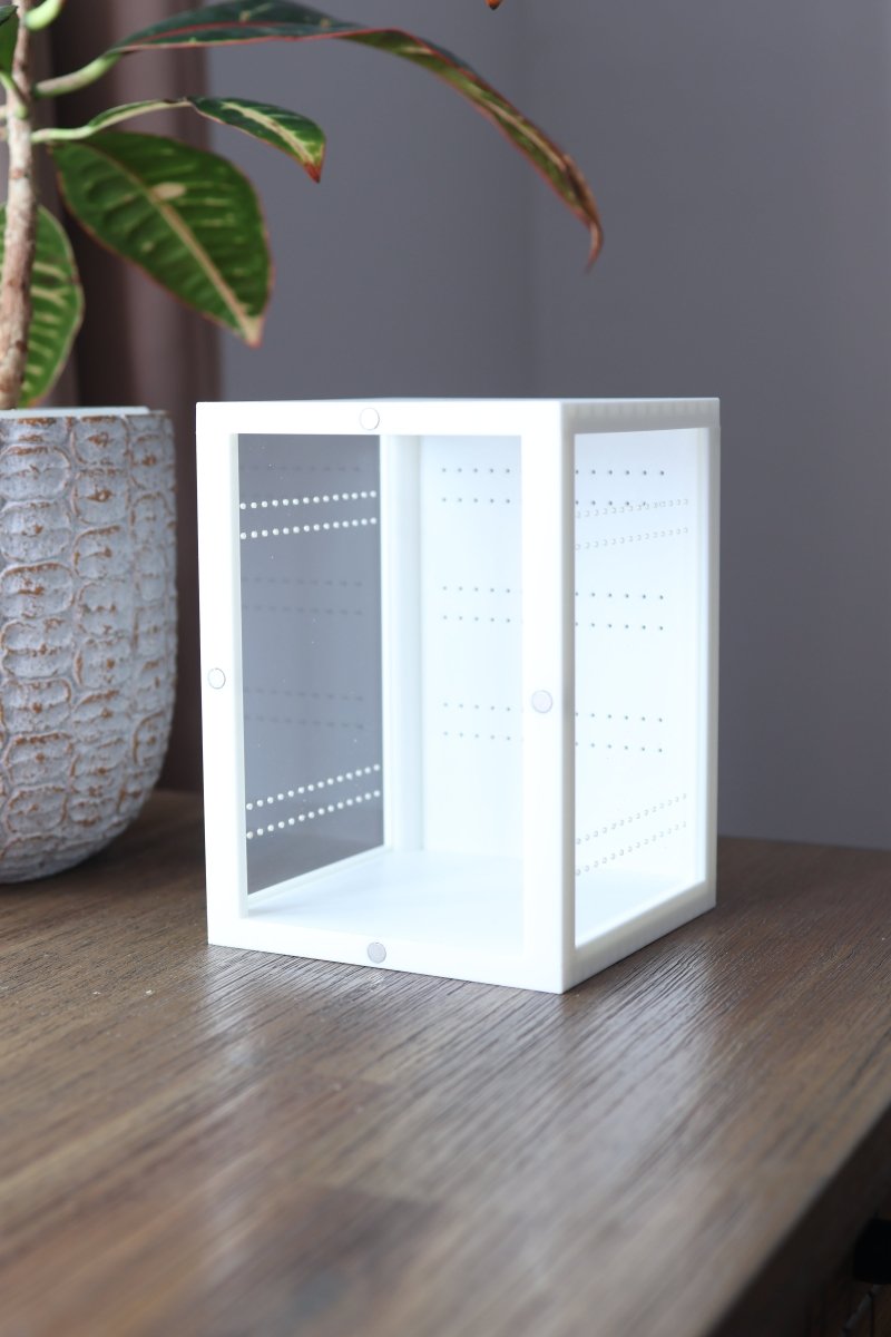 White terrarium for jumping spider