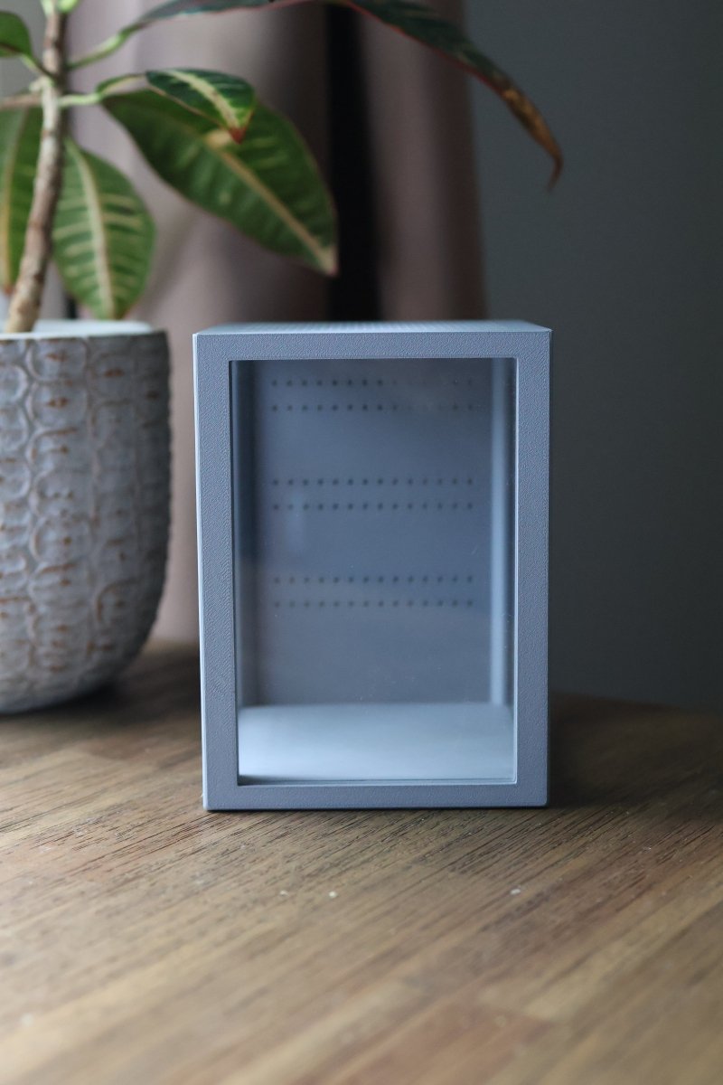Grey jumping spider habitat