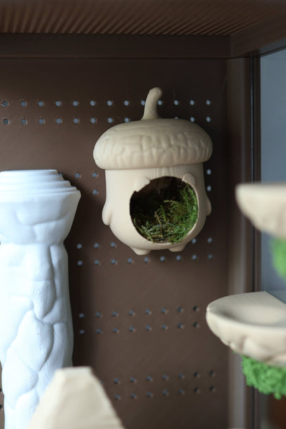 Jumping Spider Hide - Acorn With Real Moss jumping spider - Spooder Nook