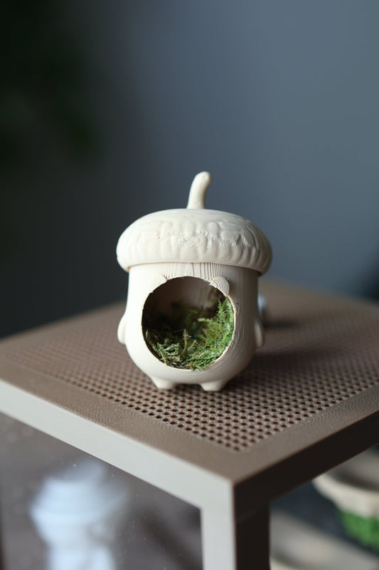 Jumping Spider Hide - Acorn With Real Moss jumping spider - Spooder Nook