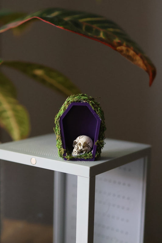 Jumping Spider Hide - Coffin Shape, Magnetic Spooder Decoration jumping spider - Spooder Nook