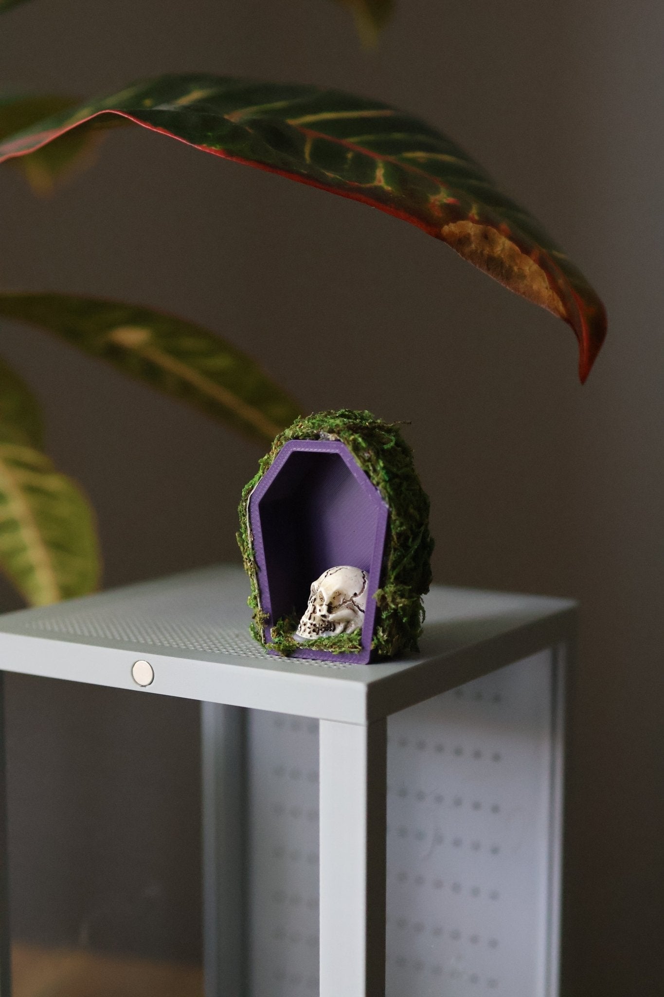 Jumping Spider Hide - Coffin Shape, Magnetic Spooder Decoration jumping spider - Spooder Nook