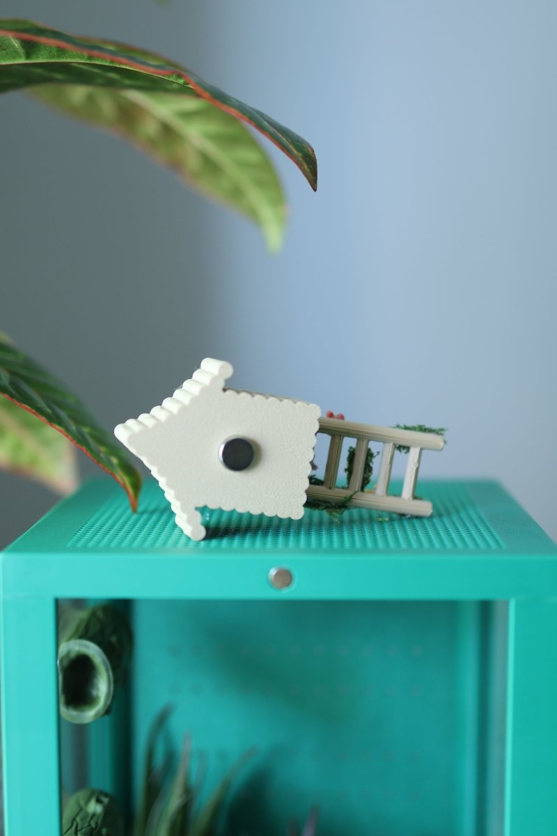 Jumping Spider Hide Hut With Real Moss jumping spider - Spooder Nook