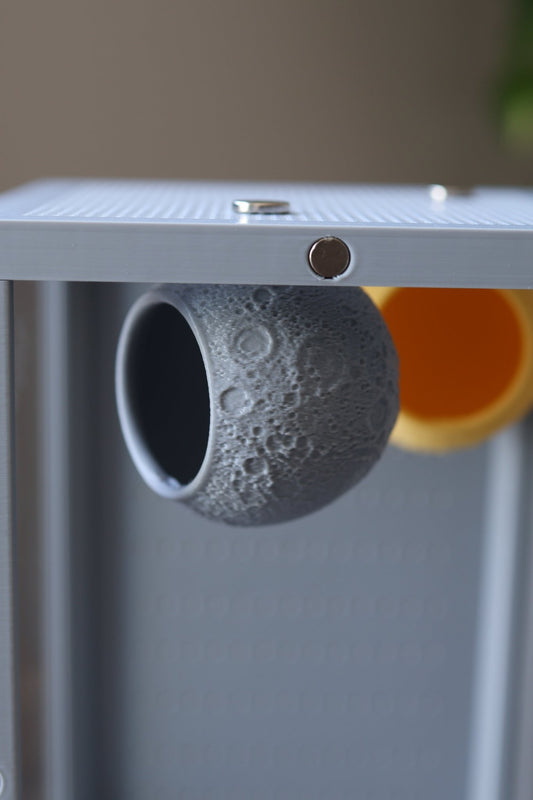 Jumping Spider Hide Magnetic - Moon Shape jumping spider - Spooder Nook