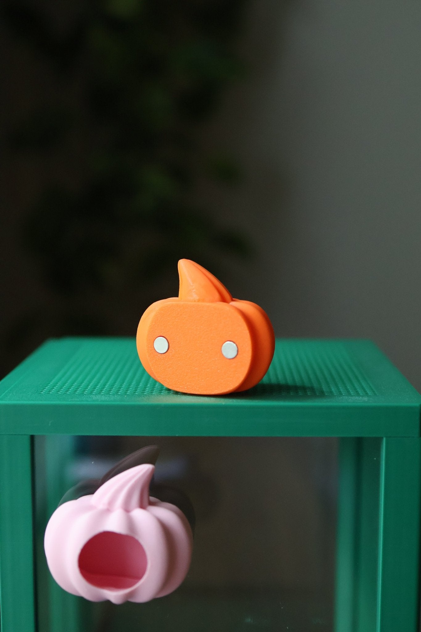 Jumping Spider Hide Magnetic - Pumpkin jumping spider - Spooder Nook
