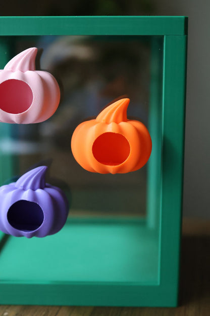 Jumping Spider Hide Magnetic - Pumpkin jumping spider - Spooder Nook