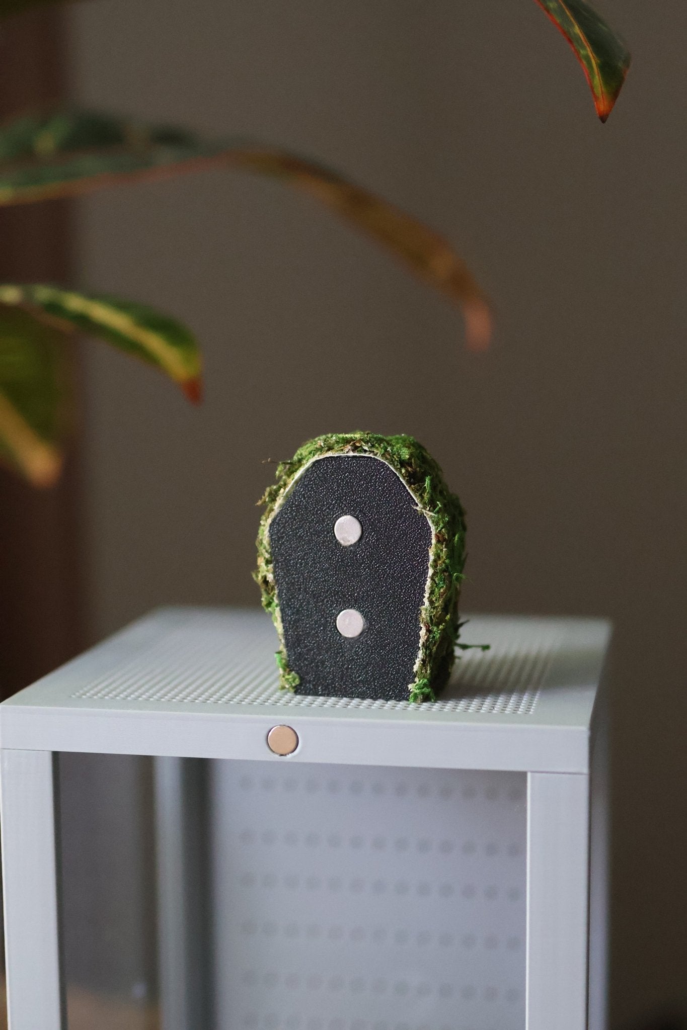 Jumping Spider Hide - Pumpkin Decoration With Natural Moss jumping spider - Spooder Nook