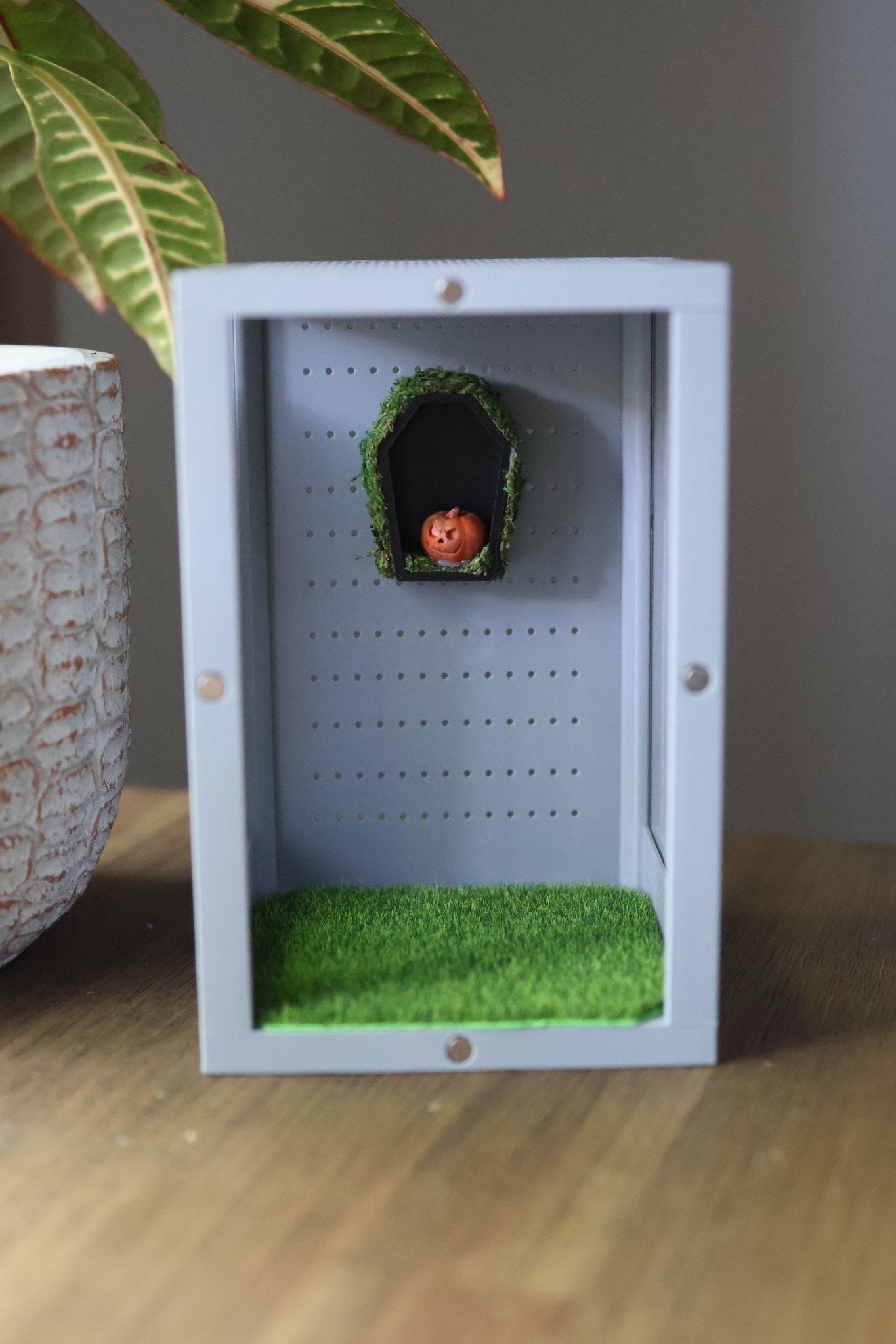 Jumping Spider Hide - Pumpkin Decoration With Natural Moss jumping spider - Spooder Nook