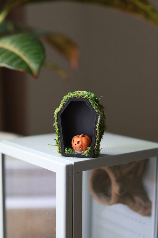 Jumping Spider Hide - Pumpkin Decoration With Natural Moss jumping spider - Spooder Nook