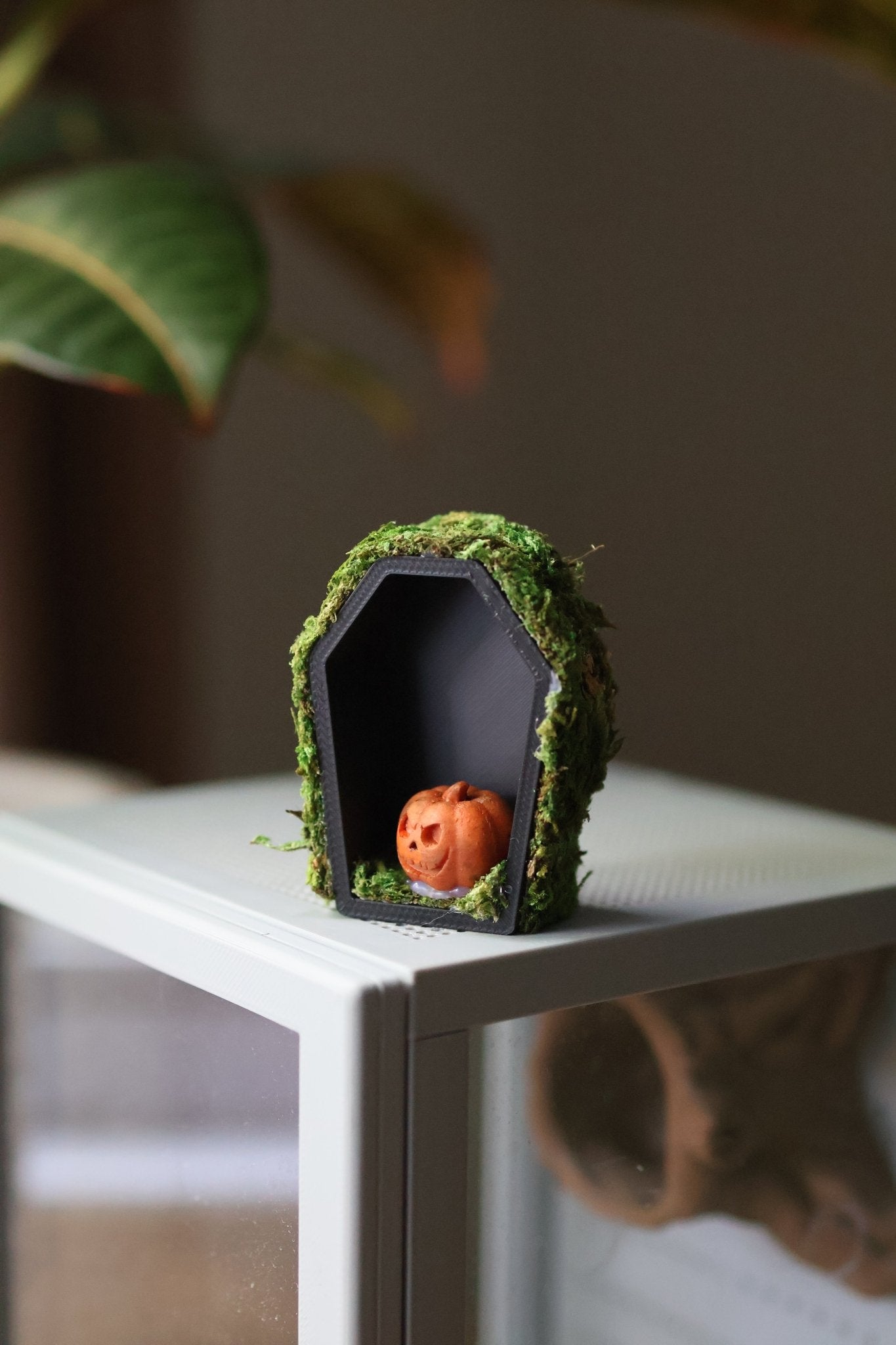 Jumping Spider Hide - Pumpkin Decoration With Natural Moss jumping spider - Spooder Nook