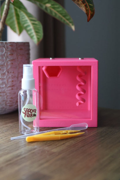 Jumping Spider Kit – With Enclosure and All Accessories To Get Started jumping spider - Spooder Nook