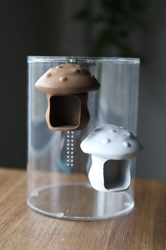 Jumping Spider Magnetic Mushroom Hide – Terrarium Accessory jumping spider - Spooder Nook