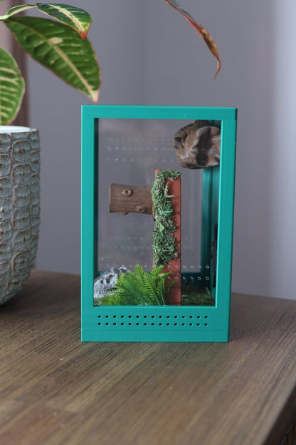 Jumping Spider Pet Enclosure – Dinosaur - Themed Habitat jumping spider - Spooder Nook