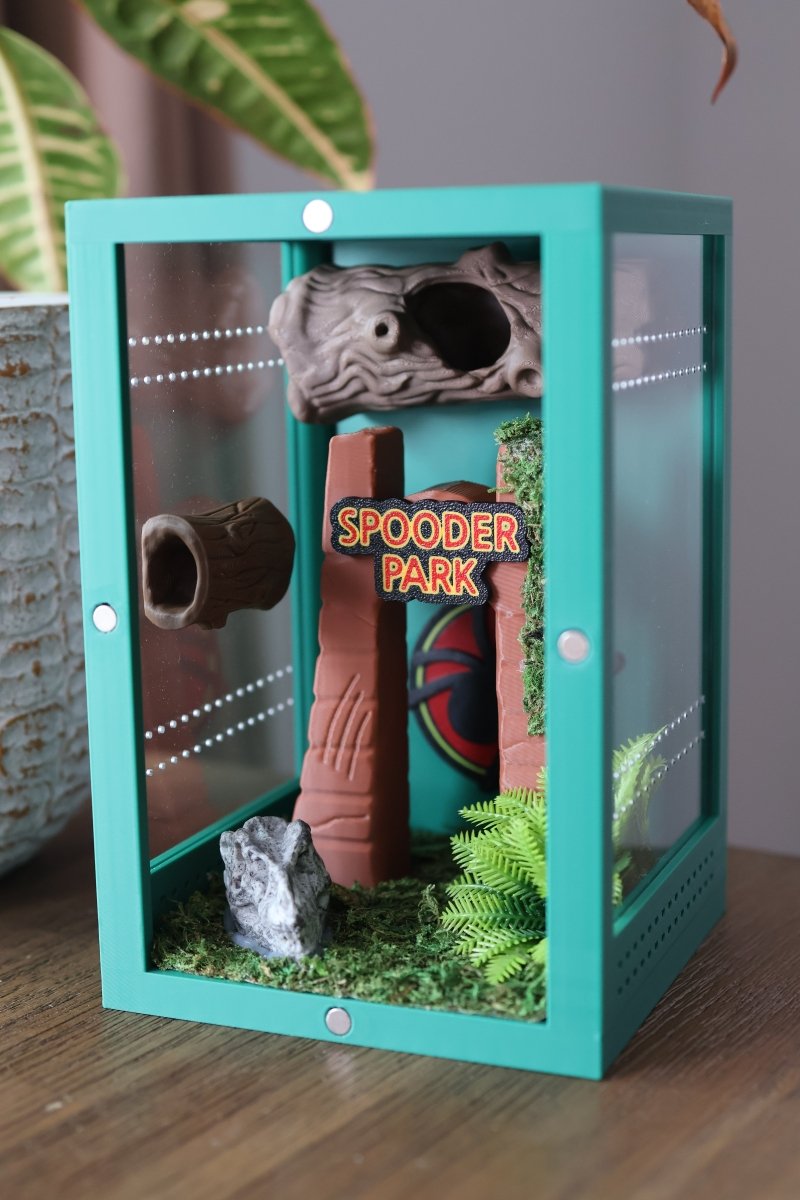 Jumping spider habitat with complet decor 