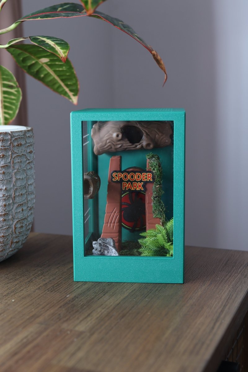 Complete kit Terrarium for jumping spider 