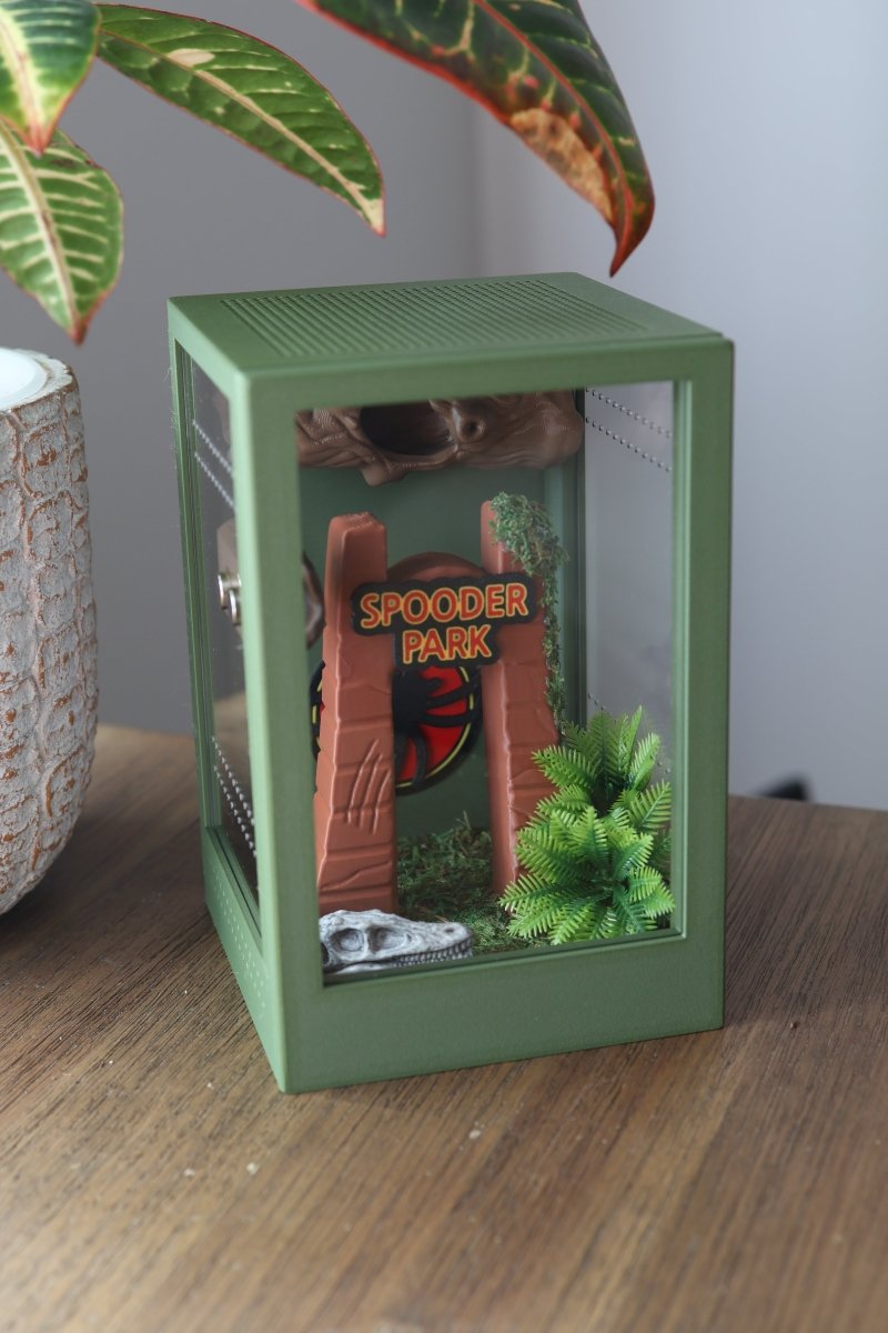 Jumping Spider Pet Enclosure – Dinosaur - Themed Habitat jumping spider - Spooder Nook