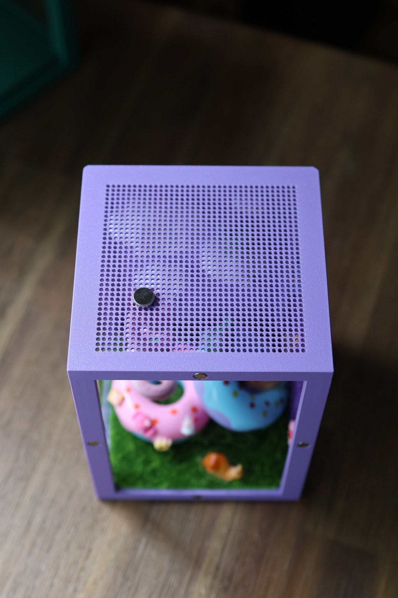 Jumping Spiders Enclosure Decorated 6.7x4.7x4.7 in - Cute & Unique Design jumping spider - Spooder Nook