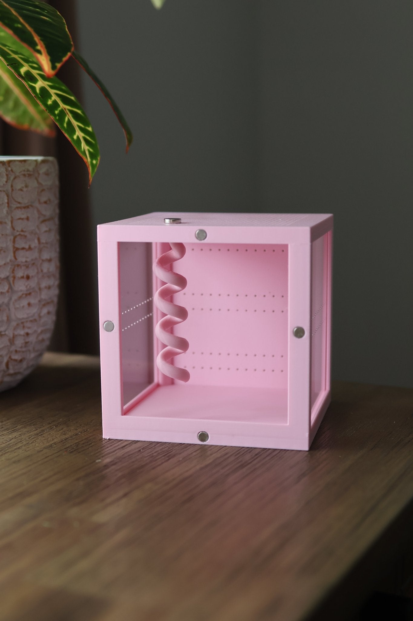 Juvenile Spider or Mantis Enclosure – Small Acrylic Habitat with Magnetic Front and Ventilation jumping spider - Spooder Nook
