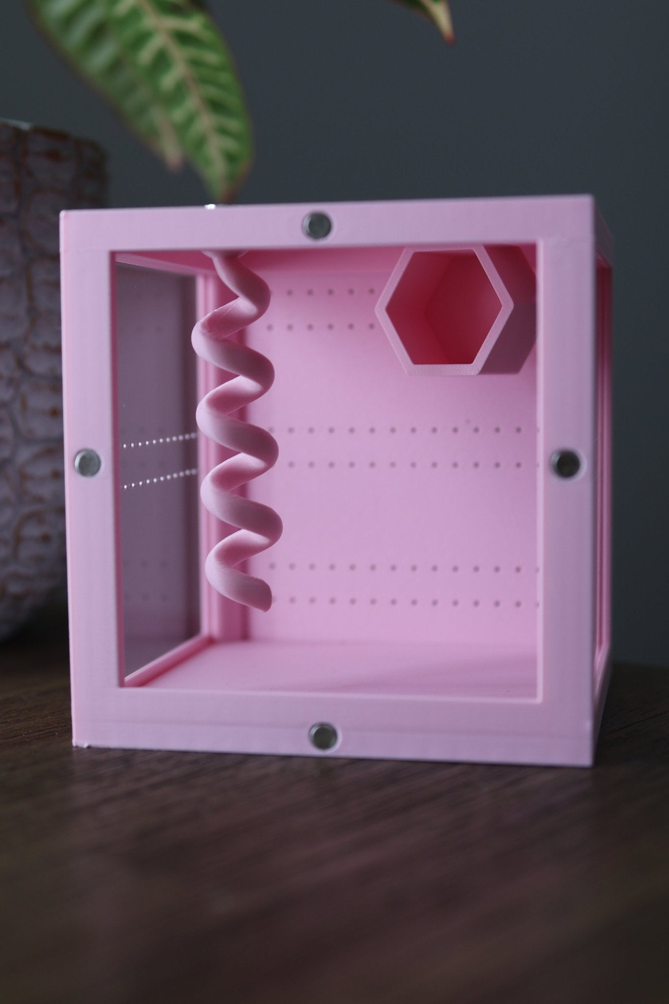 Juvenile Spider or Mantis Enclosure – Small Acrylic Habitat with Magnetic Front and Ventilation jumping spider - Spooder Nook