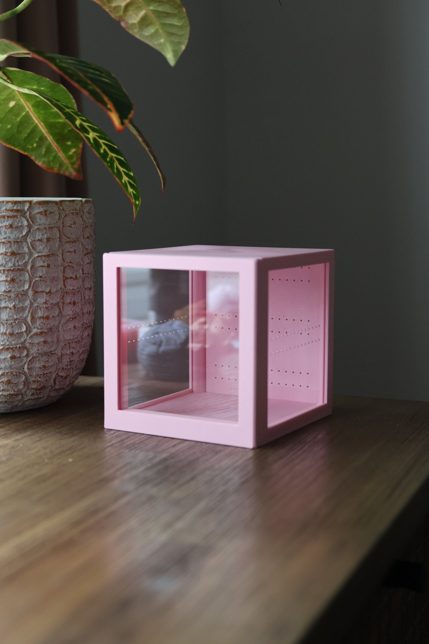 Juvenile Spider or Mantis Enclosure – Small Acrylic Habitat with Magnetic Front and Ventilation jumping spider - Spooder Nook