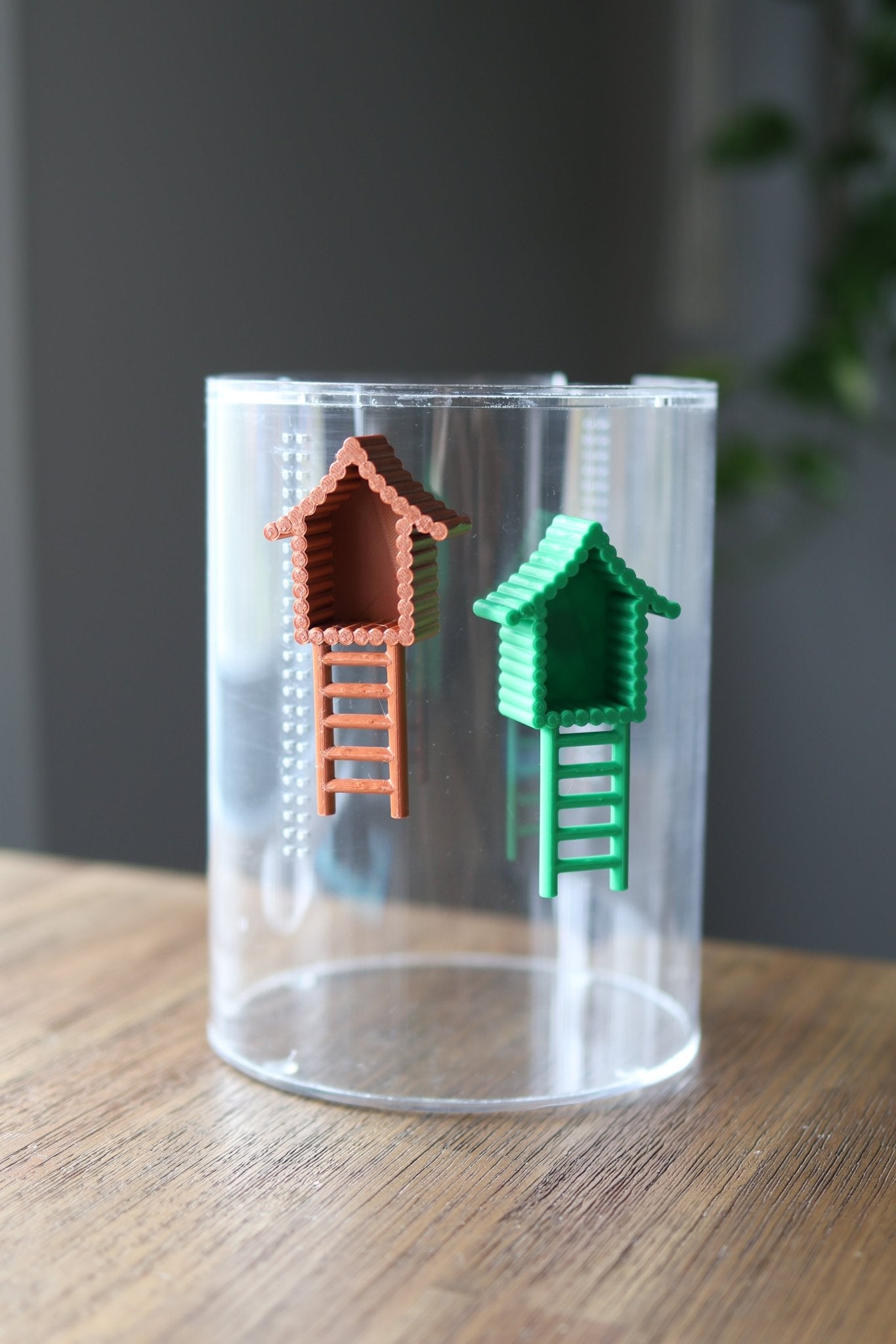 Magnetic Hut Hide with Ladder – Jumping Spider Enclosure Accessory jumping spider - Spooder Nook