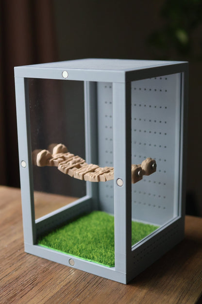 Magnetic Log Bridge Jumping Spider Enclosure jumping spider - Spooder Nook