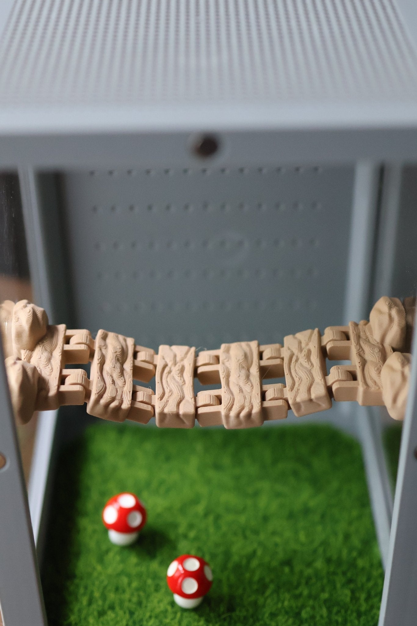 Magnetic Log Bridge Jumping Spider Enclosure jumping spider - Spooder Nook