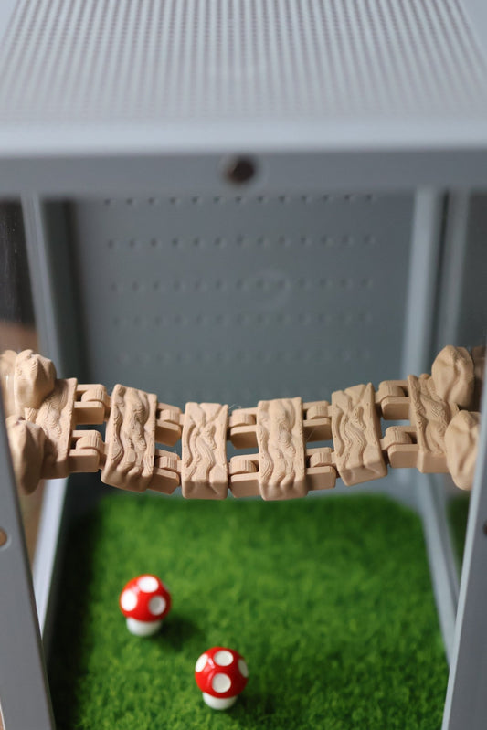 Magnetic Log Bridge Jumping Spider Enclosure jumping spider - Spooder Nook