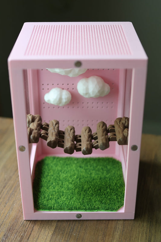 Magnetic Wooden Log Bridge for Jumping Spider jumping spider - Spooder Nook