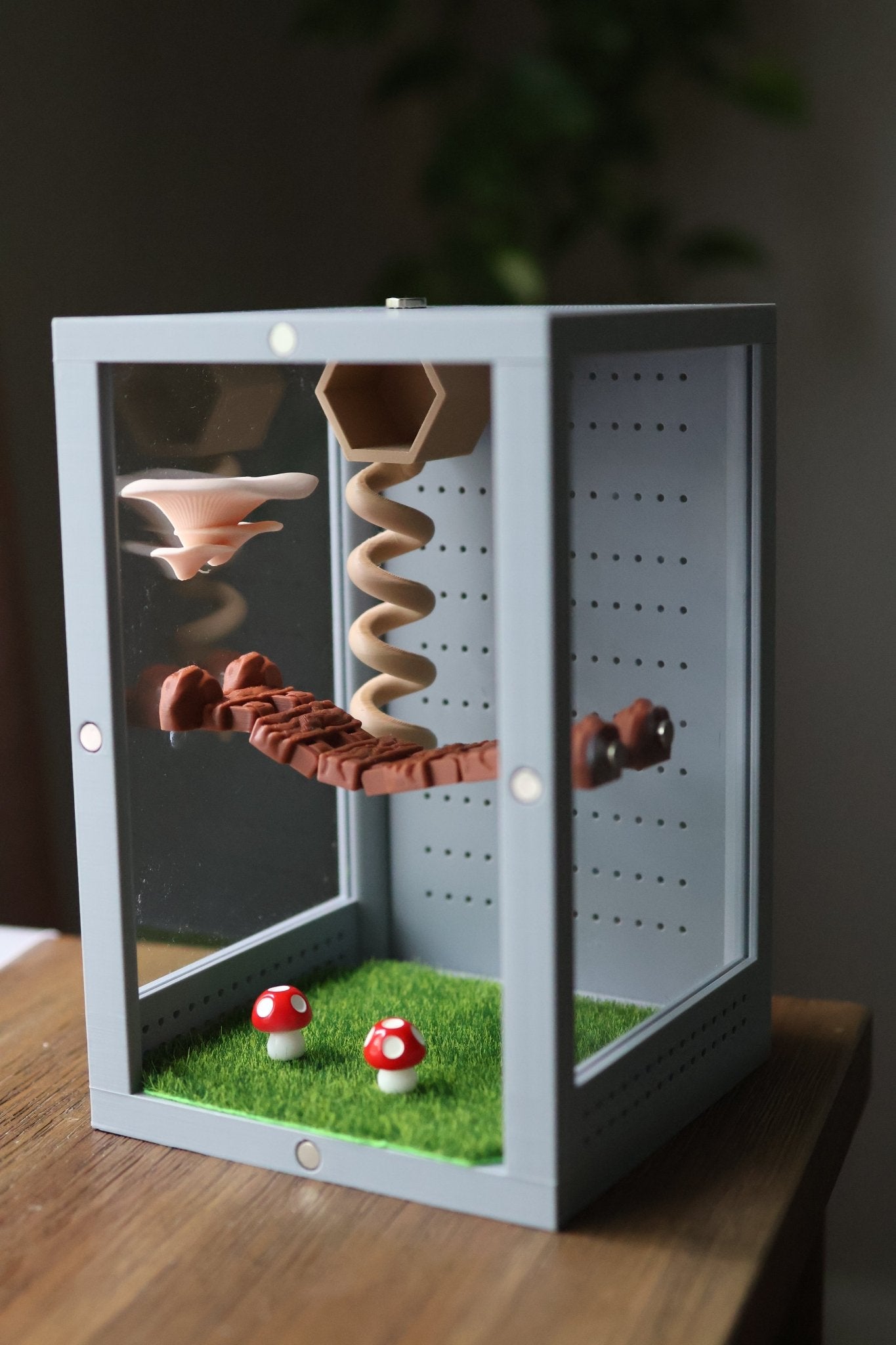 Mushroom Ledges for Jumping Spider Enclosures jumping spider - Spooder Nook