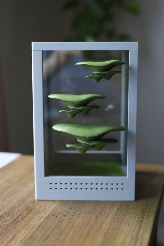 Mushroom Ledges for Jumping Spider Enclosures jumping spider - Spooder Nook