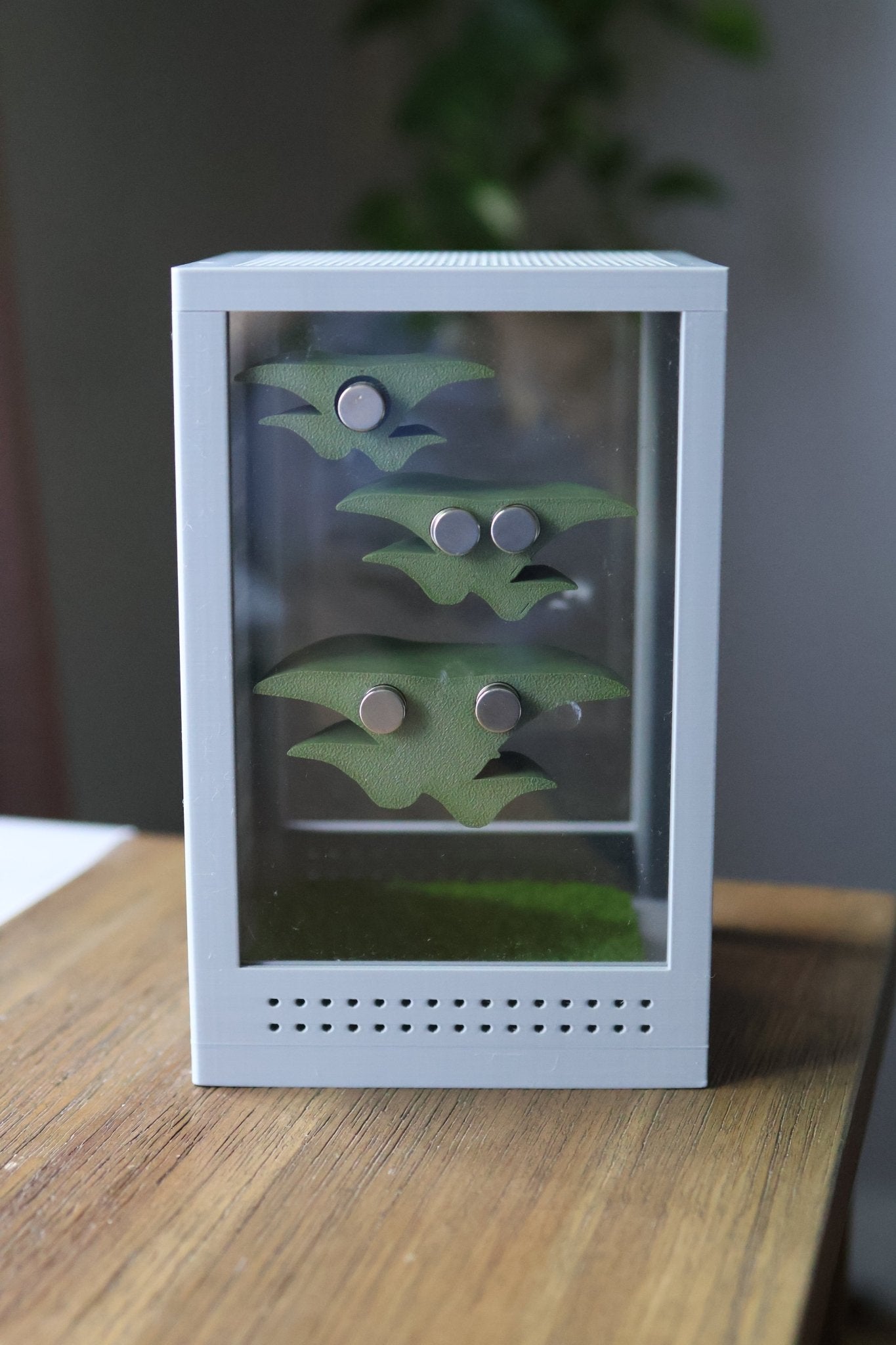 Mushroom Ledges for Jumping Spider Enclosures jumping spider - Spooder Nook