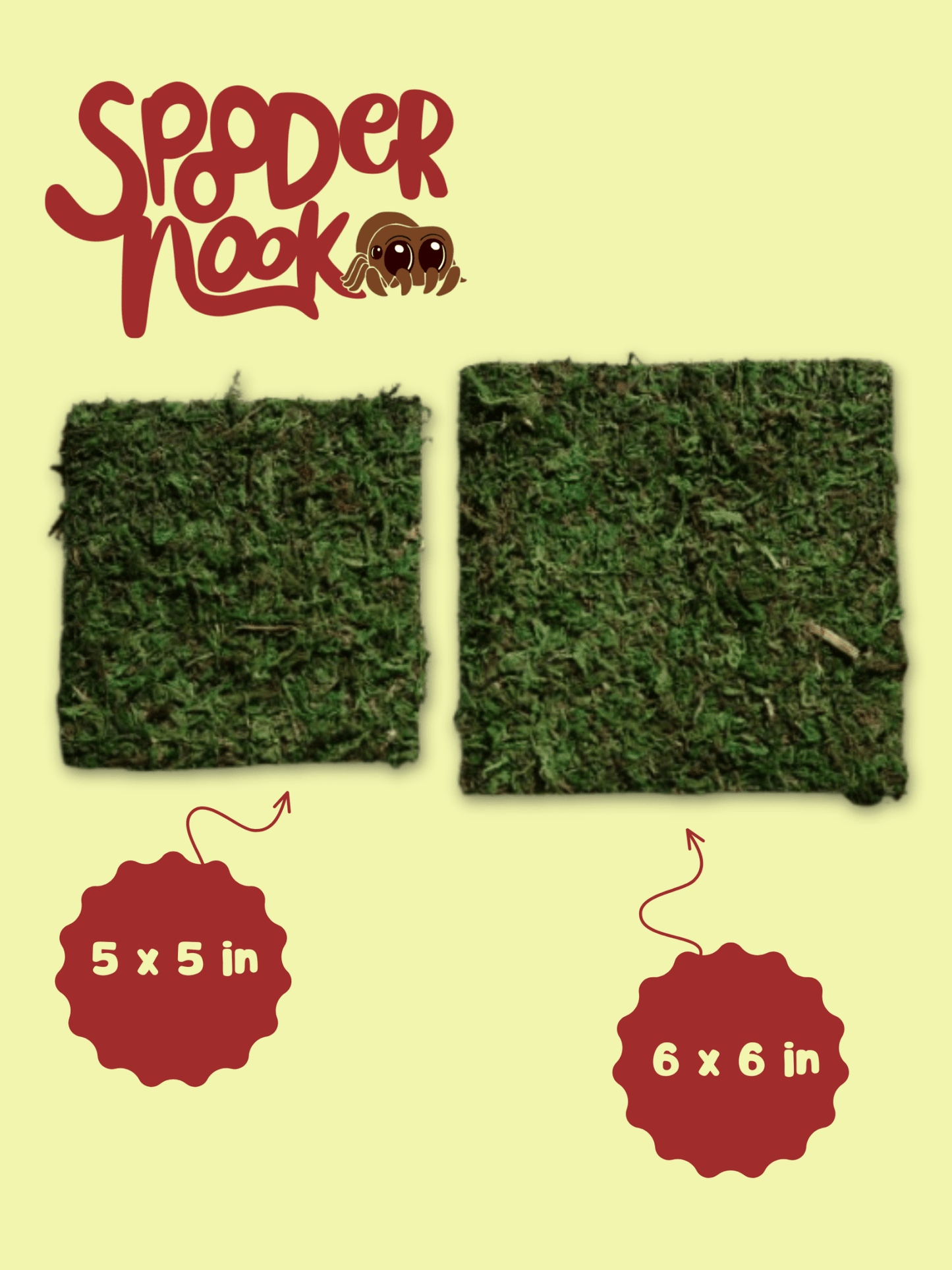 Natural Moss Mat for Jumping Spider, Reptile, or Amphibian Terrariums jumping spider - Spooder Nook