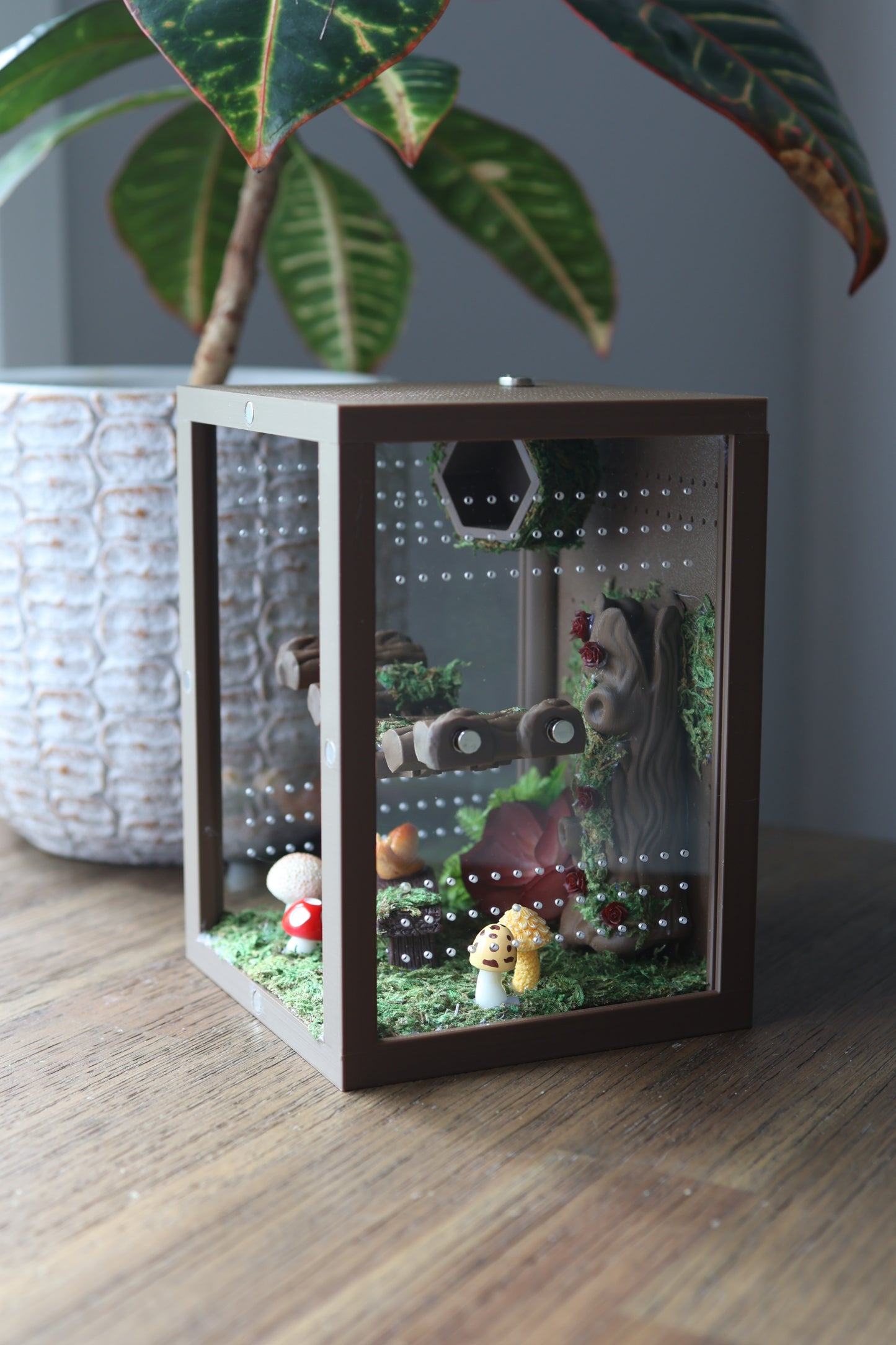 Custom 3D printed forest enclosure for jumping spiders